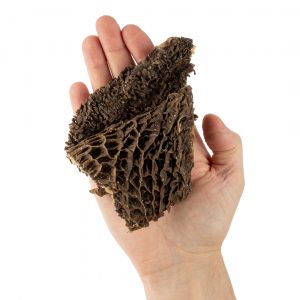 Рубец говяжий, 50 г.