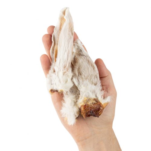 Уши кролика