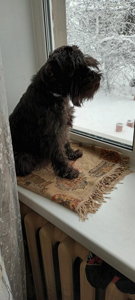 Изображение #1 от Людмила